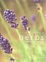 A Visual Dictionary of Herbs: A Comprehensive Botanical A-Z Reference to Herbs