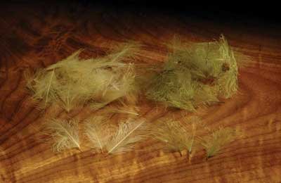 Hareline Cul De Canard Feathers - Tan