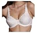 Apparel : "Laura" Go2 Bra by Lipo in a Box, Ivory 32-40 C-DDD