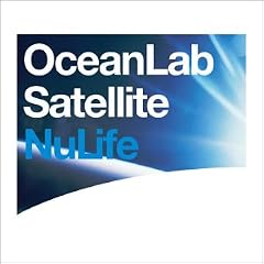 Satellite