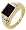 10K Two Tone Onyx and Diamond Gents Ring (Size: 10)