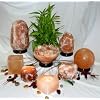 Visit This External Website