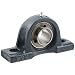 FYH UCP206-20 Pillow Block Mounted Bearing, 2 Bolt, 1-1/4" Inside Diameter, Set screw Lock, Cast Iron, Inch