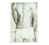 Calvin Klein Men's Cotton Stretch Trunk (Pack of 1)
