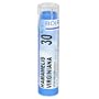 Boiron Homeopathic Medicine Hamamelis Virginiana, 30C Pellets, 80-Count Tubes (Pack of 5)