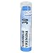 Boiron Homeopathic Medicine Hamamelis Virginiana, 30C Pellets, 80-Count Tubes (Pack of 5)