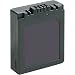 Lenmar DLP002 Lithium-ion Digital Camera/Camcorder Battery Equivelent to the Panasonic CGR-S002 Battery