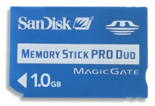SanDisk 1 GB Memory Stick Pro Duo (SDMSPD-1024-A11) - Bulk Package