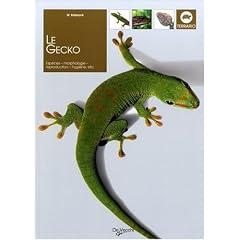 Le Gecko