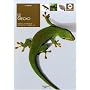 Le Gecko