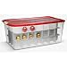 Iris Holiday Storage Bin - Large - Ornament Dividers (100651) (Red/Clear) (13
