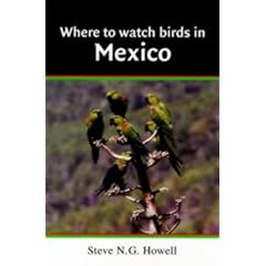 Where to Watch Birds in Mexico (Where to Watch Birds)