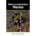 Where to Watch Birds in Mexico (Where to Watch Birds)