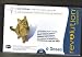 Kitchen & Housewares : Revolution for Cats 5.1-15 Lbs Flea Treatment 6 Months