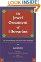 The Jewel Ornament of Liberation: The Wish-fulfilling Gem of the Noble Teachings
