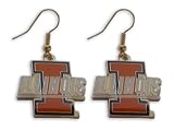 Illinois Fighting Illini Dangle Logo Earring Set Ncaa Charm Gift