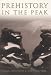 A Howling Wilderness: Prehistory in the Peak District