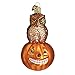 Old World Christmas Owl And Pumpkin Glass Blown Ornament