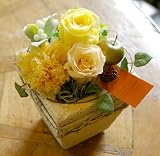 �y�͂�Ȃ����ԁz�v���U�[�u�h�t�����[  �u�v���o���X�v�C�G���[�@���a�����Ȃǂ̂��j���Ɂ@�y�p���{�b�Z�z