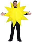 Sunny Day Sun Sky Weather Costume Adult
