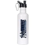 New York Yankees - MLB 26oz stainless steel water bottle with Pop-up Spout