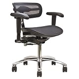 Virtu Office Chair with Adjustable Arms
