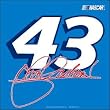 John Andretti Car Flag - NASCAR Sports Merchandise