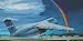 PLASTIC MODEL BUILDING AIRPLANE KIT LOCKHEED C-5B GALAXY 1/144 RODEN 330