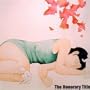 Honorary Title