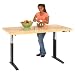 Diversified Woodcrafts HLB-6030 Hi-Lo Adjustable Bench, Maple Butcher-Block Top, 60" Width x 36" Height x 30" Depth