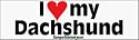 I Love My Dachshund - bumper stickers (Large 14x4 inches)