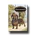 dachshund30 - Dachshund House Is Not A Home Fridge Magnet