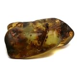Caribbean Amber Half Polished Gemstone 20 gr