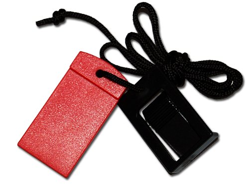 1 Safety Key for Proform & Weslo Treadmills