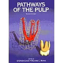 Pathways of the Pulp