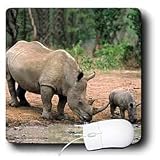 Wild animals - Black Rhino, Rhinoceros - Mouse Pads