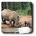Wild animals - Black Rhino, Rhinoceros - Mouse Pads