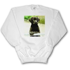 Dogs Labrador Retriever - Cute Labrador Puppy - Sweatshirts