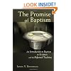 The Promise of Baptism: An Introduction to Baptism in Scripture and the Reformed Tradition
