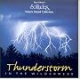 Thunderstorm in the Wilderness
