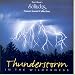 Thunderstorm in the Wilderness