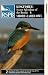 Kingfisher: Secret Splendour Of The Brooks / Short-Eared Owl [UK IMPORT]