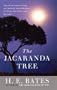 Jacaranda Tree