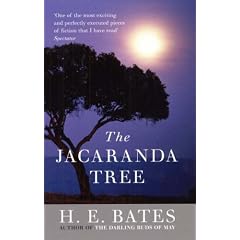 The Jacaranda Tree