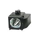 BP96-01653A ORIGINAL LAMP FOR SAMSUNG TV