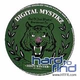 Misty Winter/Conference [12" VINYL]