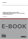Zwischen dem Vertrag von Nizza und dem Verfassungsentwurf des Konvents ? Die EU auf dem Weg zur Mehrheitsdemokratie? - Philipp Rebel