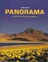 Panorama: Introduccion a la lengua espanola, 2nd Edition