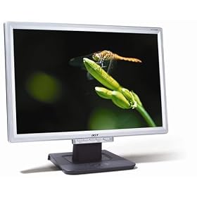 Acer AL1916WAS 19" Widescreen LCD Monitor - 5ms Response Time - Silver & Black