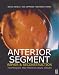 Anterior Segment Repair and Reconstruction: Technical and Medico-Legal Issues